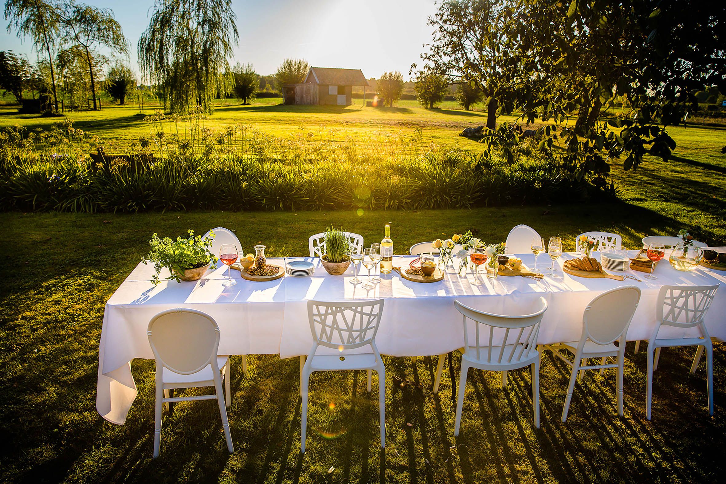 Daamen Party Design Impressie